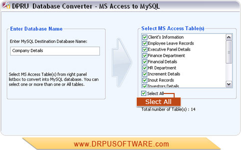 MS Access to MySQL Database Converter